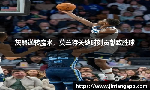 九游体育.九游体育官网入口